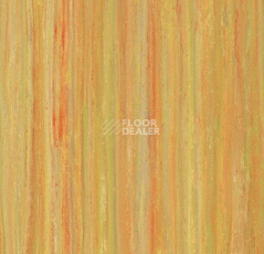 Линолеум Forbo Marmoleum Linear Striato Colour 5241 sunshine yellow фото 1 | FLOORDEALER